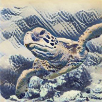 turtle